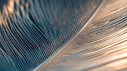 A close-up of a feather intricate structure, highlighting the delicate barbs and central shaft
