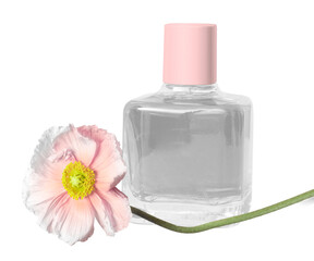 Perfume bottle png beauty product
