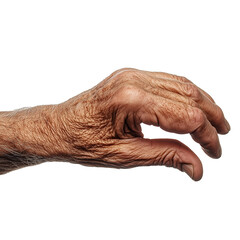 Fototapeta premium hand of an old man isolated on transparent or white background