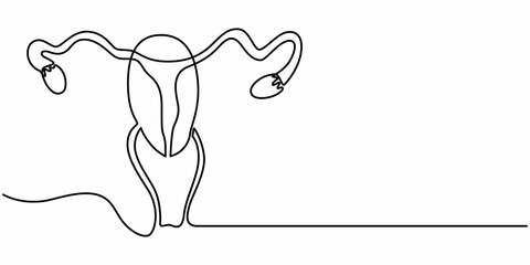 Continuous single one line drawing Uterus and ovaries, organs of female reproductive system and women's day conpect  vector art illustration, Woman reproductive system, one line continuous. Line art