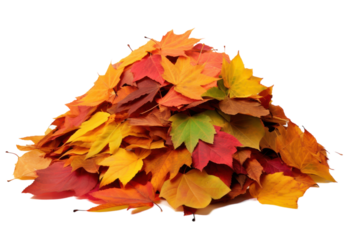 A vibrant pile of autumn leaves in various shades gathered in a natural setting during the fall season
