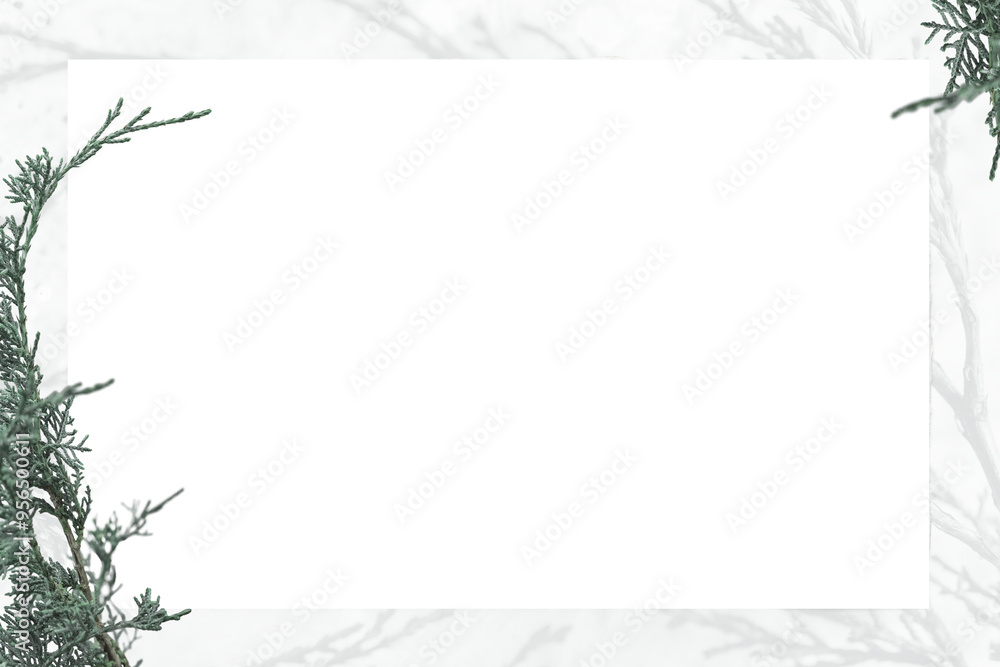 Poster pine tree frame png transparent background