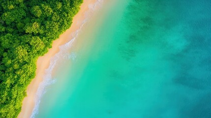 an aerial view of a tropical beach with turquoise waters gently lapping at the shore, surrounded by lush green vegetation