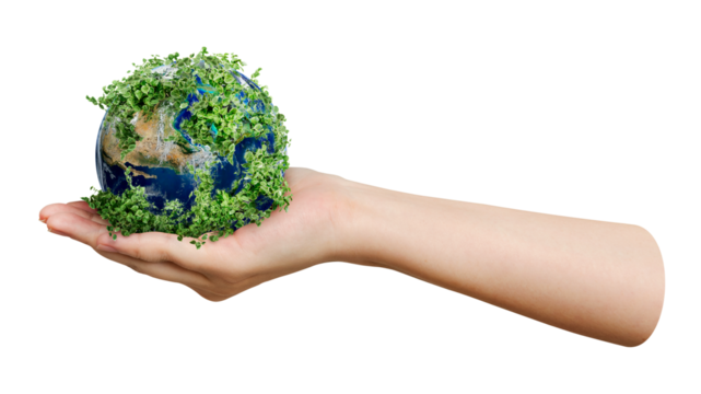 Holding Earth png sticker, transparent background
