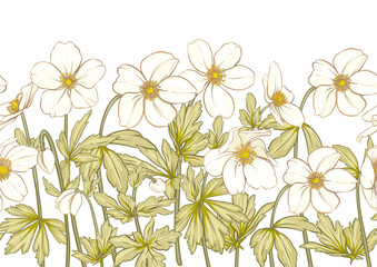 Forest Anemone flowers, decorative flowers and leaves Seamless pattern, background. Vector illustration. In botanical style