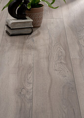Silver Oak Wood Flooring with Distinctive Grain Pattern for Modern Interiors