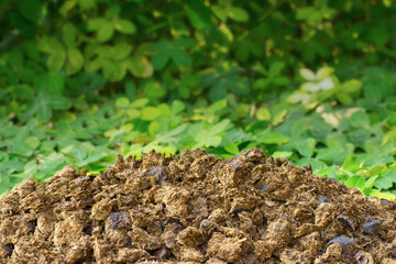 A pile of manure with a green leaf background. Organic fertilizer made from animal manure and waste...