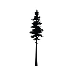 Fototapeta premium An image depicting the dark outline of a pine tree, set against a natural backdrop, and presented in isolation.