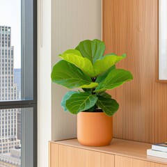 Lush green fiddle leaf fig plant decorates a modern living space with urban skyline view