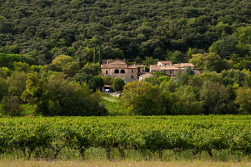 Village provençal typique avec maisons en pierres sèches au milieu des vignes et des arbres au pied d'une colline boisée dans le Sud de la France.
