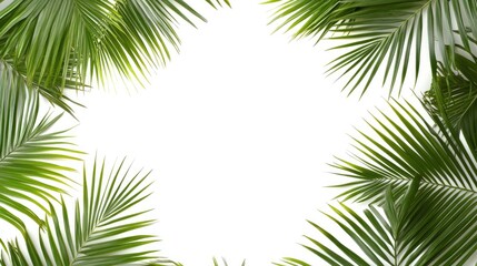 Palm leaves pattern frame on a white background