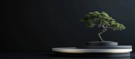  Japanese cosmetic theme featuring a 3D abstract podium and bonsai tree set against a black background for product showcasing 3D rendered illustration © AImmersive Imagery