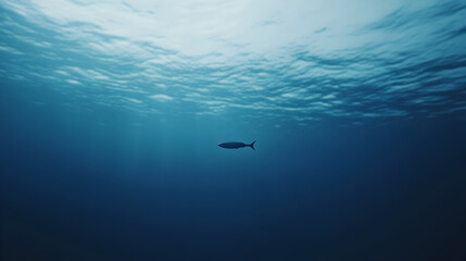Naklejka premium A single fish swimming through a vast, empty sea.