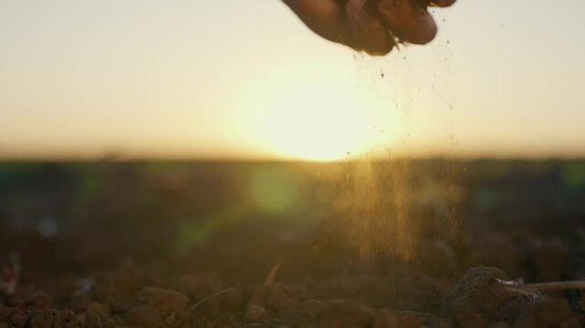Farmer taking dry soil and pouring on ground, closeup of hand against sunrise. Agriculture and farming in ecological region, human in nature, slow motion, farm worker works in land, agribusiness
