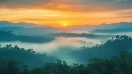 Obraz premium Beautiful Early Morning Sunrise In Deep Southeast Asia Rain forest Borneo : Generative AI