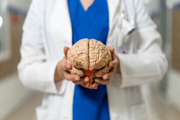 Medical professional holding a human brain model in a hospital setting. A health worker in scrubs...