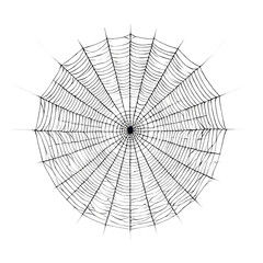 spider on web, no background, generative ai