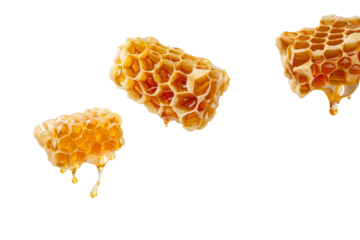 Sweet Honeycombs with honey drops falling in the air isolated on background, fresh sticky hive puddle from bees.