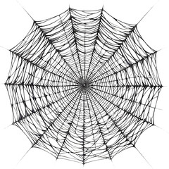 Obraz premium spider on web, no background, generative ai