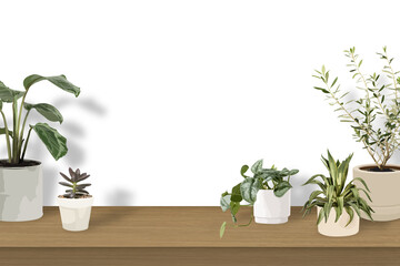 Houseplant PNG background transparent wall