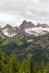 A stunning North Cascades mountain view on a cloudy day with a lot of greenery.
