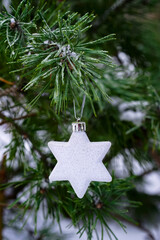 A white Star of David hanging on a green branch of a natural pine tree in a forest. Christmas tree toy decorates a live pine, close-up, vertical photo. Template, copy space, Hanukkah, New Year, Xmas.