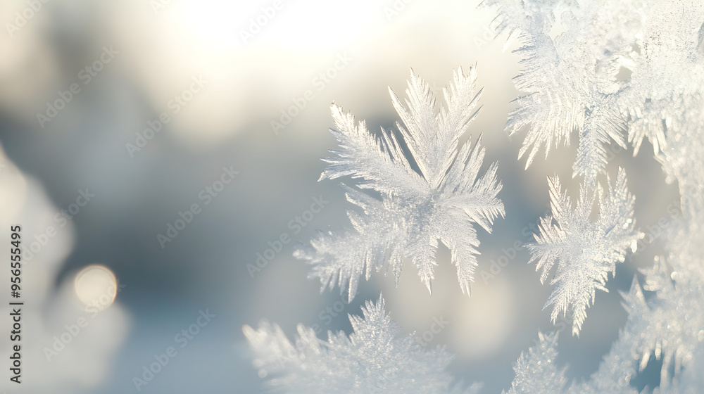 Poster intricate ice crystals form a beautiful close-up display, capturing delicate patterns in a soft wint
