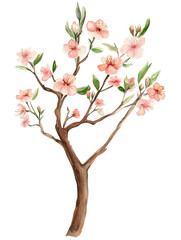 Obraz premium Branch of a peach tree with vibrant pink flowers in watercolor, spring flowers blooming on a transparent background