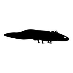 Axolotl ambystoma mexicanum view side icon black color vector illustration image flat style