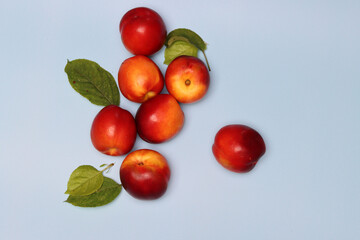 Ripe red nectarines on a blue background with leaves. Eating fresh concept. 