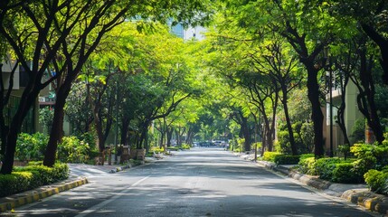 A street view of an urban area with lush green trees lining the sidewalks