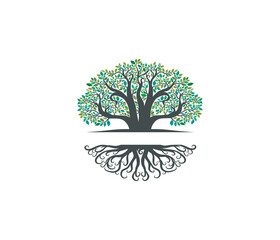 Oak tree and roots logo templates with circular shape, oak tree with the gap between the tree and the root to fill in the writing.