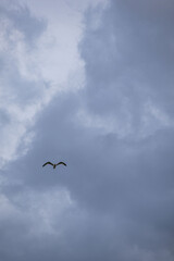 sky with storm clouds and clouds
