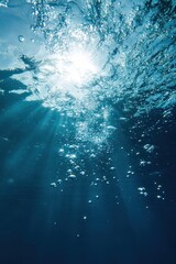 Bubbles rising underwater towards the sunlit surface