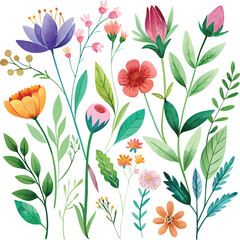 floral watercolor seamless pattern,Beautiful watercolor vector floral pattern design,Set watercolor elements,Set watercolor wild flowers,Botanic garden elements,Floral watercolor set, vector,svg