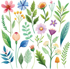 floral watercolor seamless pattern,Beautiful watercolor vector floral pattern design,Set watercolor elements,Set watercolor wild flowers,Botanic garden elements,Floral watercolor set, vector,svg