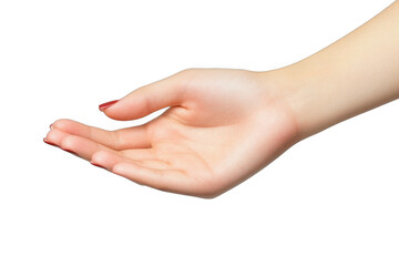 Open Hand Gesture Isolated on Transparent Background for Business and Communication Concepts