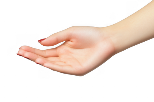 Open Hand Gesture Isolated on Transparent Background for Business and Communication Concepts