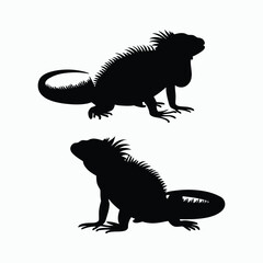 Fototapeta premium Iguana Silhouette Vector Set Animals Illustration Template