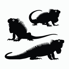 Obraz premium Iguana Silhouette Vector Set Animals Illustration Template