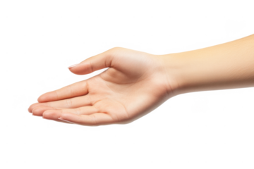 Open Hand Gesture on Transparent Background - Business & Social Communication Concepts