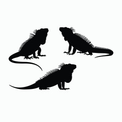 Fototapeta premium Iguana Silhouette Vector Set Animals Illustration Template