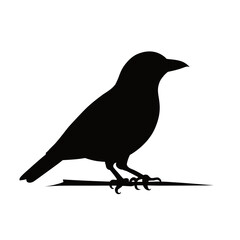 Silhouette of a bird standing on a branch, with a clean white background, perfect for minimalist and nature-themed designs.