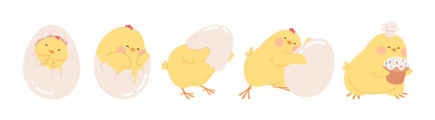 Chicken hatching from egg stages. Cute Easter character bird birth process. Easter yellow newborn little chick hatches from cracked shells. Funny Easter vector chicken illustration for cards, banners.