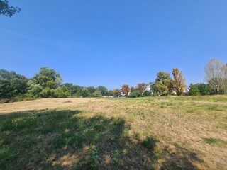 Fototapeta premium eine friedliche Wiese mit blauem Himmel in Berlin Treptow/Köpenick