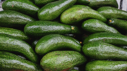 Fresh green avocados texture background placed together in a big pile. concept of healthy diet
