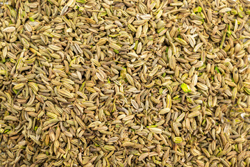 A close up of a pile of seeds, with a grainy texture