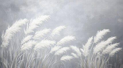Miscanthus sinensis wallpaper background in autumn