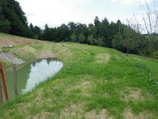 a garden pond saves water