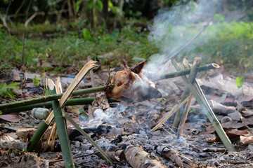 Roasted chicken on fire in camping forest outdoor